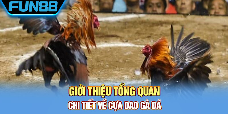 Cựa Dao Gà Đá Là Gì? Khám Phá Về Thiên Đường Đá Gà Cực Chất Giới thiệu tổng quan chi tiết về cựa dao gà đá